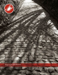 Castelli_Free Bibshorts